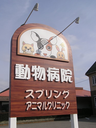 看板製作　看板　動物病院　スプリングアニマルクリニック